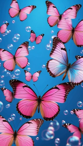 butterfly background,pink butterfly,blue butterfly background,butterflies,butterfly clip art,rainbow butterflies,butterfly vector,flutter,butterfly wings,isolated butterfly,butterfly isolated,butterfly swimming,ulysses butterfly,butterfly floral,sky butterfly,butterfly effect,fluttering,butterfly,moths and butterflies,butterfly pattern,Photography,General,Realistic