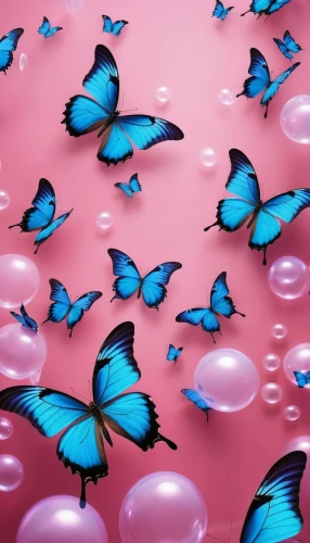 blue butterfly background,butterfly background,isolated butterfly,butterfly effect,butterflies,pink butterfly,blue butterflies,butterfly clip art,butterfly isolated,butterfly vector,ulysses butterfly,butterfly swimming,butterfly wings,butterfly,flutter,moths and butterflies,butterfly pattern,rainbow butterflies,colorful balloons,butterfly floral,Photography,General,Realistic
