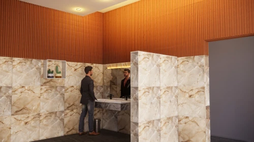 room divider,shower bar,consulting room,wall panel,luxury bathroom,washroom,tiling,almond tiles,rest room,ceramic tile,search interior solutions,wall plaster,structural plaster,assay office,bathroom tissue,3d rendering,shower base,thermal insulation,the tile plug-in,prefabricated buildings