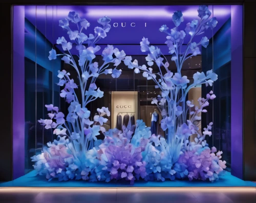 shop-window,lilac arbor,shop window,store window,display window,majorelle blue,irises,lilac orchid,purple irises,blue violet,vitrine,ipê-purple,shopwindow,flower wall en,orchids,jacaranda,aquarium decor,store front,orchid,lilac