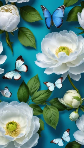 blue butterfly background,chrysanthemum background,japanese floral background,butterfly background,floral digital background,white water lilies,ulysses butterfly,floral background,water lilies,blue butterflies,blue passion flower butterflies,spring leaf background,flower background,paper flower background,flower fabric,flower painting,hydrangea background,lotuses,kimono fabric,butterfly floral,Photography,General,Realistic