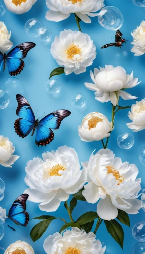 blue butterfly background,chrysanthemum background,floral digital background,butterfly background,flower fabric,paper flower background,flowers fabric,floral background,flower background,japanese floral background,butterfly floral,floral pattern paper,flowers png,flowers pattern,water lily plate,blue butterflies,butterfly pattern,flower wall en,kimono fabric,white floral background,Photography,General,Realistic