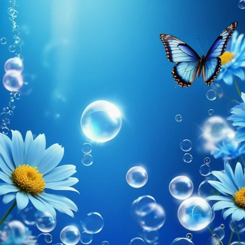 blue butterfly background,butterfly background,blue butterflies,butterfly swimming,ulysses butterfly,underwater background,water forget me not,blue butterfly,butterfly isolated,isolated butterfly,blue petals,water flower,blue waters,underwater world,flower background,butterfly stroke,flower water,underwater landscape,ornamental fish,butterfly clip art,Photography,General,Realistic