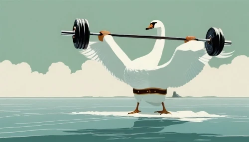 rowing,rower,rowing dolle,trumpet of the swan,to lift,indoor rower,water bird,weightlifting,weight lifter,weight lifting,weightlifter,rowing team,coxswain,weightlifting machine,water fowl,personal trainer,waterbird,strength training,exercise machine,pilates