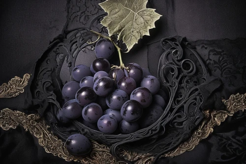 purple grapes,wood and grapes,blue grapes,grapes,grape vine,grapes icon,grapes goiter-campion,red grapes,table grapes,wine grape,fresh grapes,grapevines,currant decorative,unripe grapes,isabella grapes,bunch of grapes,wine grapes,dried grapes,grape hyancinths,black currant,Illustration,Realistic Fantasy,Realistic Fantasy 46