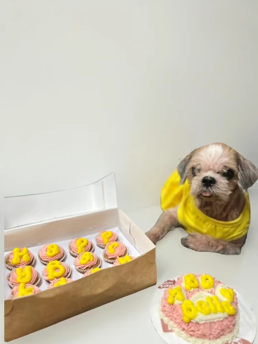 pâtisserie,bake sale,pastelón,potcake dog,beschuit met muisjes,second birthday,sweet pastries,2nd birthday,party pastries,neon cakes,sufganiyah,pink icing,donut,donuts,muffin tin,fresh baked,pastel de choclo,purebred dog,first birthday,baked goods
