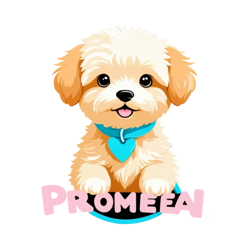 pomeranian,toy poodle,shih poo,promise,pompom,shih-poo,glen of imaal terrier,poodle crossbreed,maltepoo,yorkipoo,dog pure-breed,my clipart,pekingese,goldendoodle,welsh terrier,yorkshire terrier puppy,tibetan terrier,comet,morkie,pioneer badge