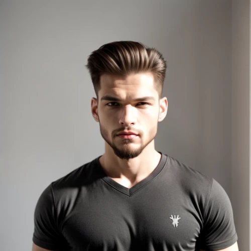 male model,active shirt,austin stirling,lukas 2,rugby player,undershirt,polo shirt,men's wear,itamar kazir,danila bagrov,long-sleeved t-shirt,cotton top,pompadour,premium shirt,latino,men's,torn shirt,shoulder length,ryan navion,t-shirt