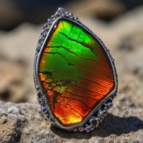 opal,glass wing butterfly,druzy,colorful glass,gemstone,gemstones,semi precious stone,agate,colored stones,healing stone,aurora butterfly,colorful ring,iridescent,precious stone,peacock eye,scarab,natural stones,drusy,jewel bugs,rhyolite,Photography,General,Realistic