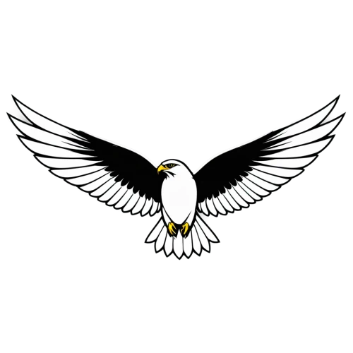 eagle vector,eagle illustration,gray eagle,eagle,white eagle,coat of arms of bird,eagle eastern,eagle drawing,bird png,eagle head,imperial eagle,national emblem,female symbol,mongolian eagle,symbol,united states air force,png transparent,and symbol,perico,emblem