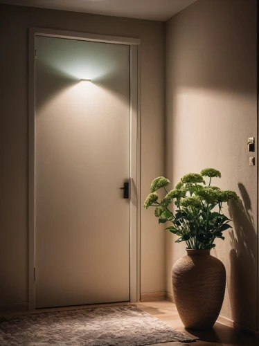 security lighting,cuckoo light elke,wall light,home door,under-cabinet lighting,wall lamp,hallway space,floor lamp,hinged doors,landscape lighting,door,room lighting,open door,metallic door,sliding door,visual effect lighting,led lamp,search interior solutions,track lighting,walk-in closet