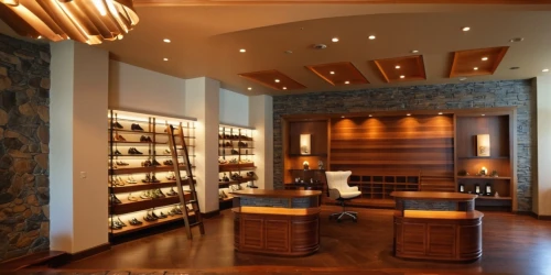 brandy shop,wine cellar,gold bar shop,apothecary,jewelry store,wine bar,pantry,pharmacy,assay office,walk-in closet,gold shop,wine boxes,shoe cabinet,soap shop,cabinetry,shoe store,cabinets,luxury home interior,liquor bar,cosmetics counter,Photography,General,Realistic