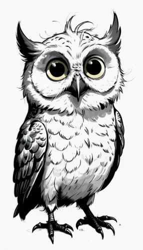 owl drawing,owl art,boobook owl,owl,hedwig,kawaii owl,owl-real,reading owl,owl background,bubo bubo,sparrow owl,tawny frogmouth owl,small owl,bart owl,owlet,owl pattern,owl eyes,hoot,large owl,little owl,Illustration,Children,Children 02