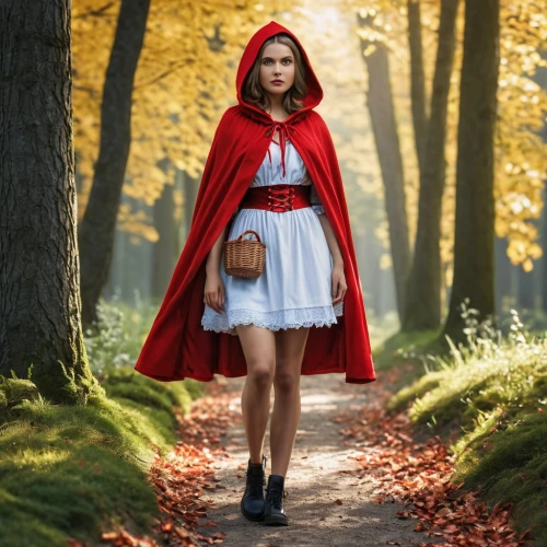 red riding hood,little red riding hood,red coat,red cape,scarlet witch,red skirt,queen of hearts,wizard of oz,snow white,fairy tale character,alice in wonderland,red tunic,caped,red shoes,transylvania,fairy tales,fairy tale,autumn theme,wonderland,a fairy tale,Photography,General,Realistic