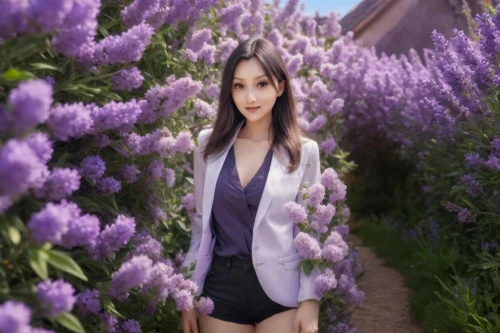 lupines,lavender,the lavender flower,lavendar,flower background,lavender fields,wisteria,lavender field,lavender flower,lupins,lavender flowers,lavander,lupine,phuquy,girl in flowers,beautiful girl with flowers,lavender cultivation,jacaranda,purple background,japanese sakura background