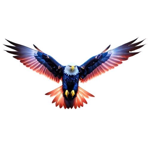 eagle vector,eagle illustration,macaws blue gold,eagle,macaw,hyacinth macaw,blue macaw,falco peregrinus,blue and gold macaw,eagle drawing,bird png,scarlet macaw,eagle eastern,american bald eagle,african eagle,macaw hyacinth,of prey eagle,perico,bald eagle,eagles