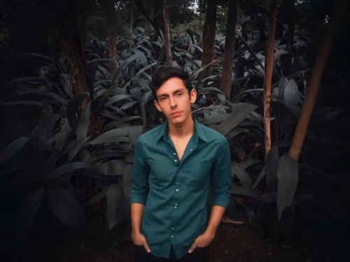 portrait background,farmer in the woods,agave,agave azul,jungle,photo shoot with edit,forest background,forests,vegetation,social,forest man,cornfield,edit icon,forest floor,the forests,bushes,background bokeh,digital compositing,floral background,corn field