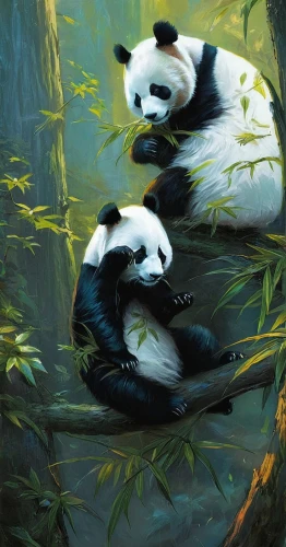 pandas,panda,chinese panda,giant panda,lun,hanging panda,yinyang,panda cub,little panda,panda bear,kawaii panda,baby panda,luo han guo,dongfang meiren,xing yi quan,yin-yang,oil painting on canvas,rou jia mo,endangered,oil painting,Conceptual Art,Fantasy,Fantasy 12