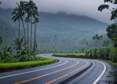 mountain road,winding roads,road,winding road,national highway,the road,roads,mountain highway,aaa,country road,coastal road,open road,forest road,uneven road,reunion island,tropical and subtropical coniferous forests,bad road,long road,guyana,road to nowhere,Photography,General,Natural