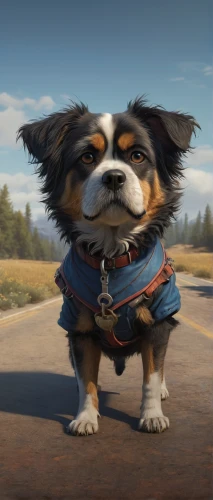 dog illustration,tamaskan dog,laika,cavalier,shih tzu,running dog,terrier,corgi,max,dog,dog drawing,corgi-chihuahua,scout,chihuahua,pet portrait,working terrier,companion dog,banjo bolt,tibetan spaniel,scotch collie,Illustration,Realistic Fantasy,Realistic Fantasy 28