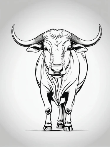 taurus,cow icon,tribal bull,watusi cow,zebu,horoscope taurus,bull,gnu,ox,horns cow,oxen,bulls,texas longhorn,the zodiac sign taurus,bos taurus,vector illustration,ruminant,cow,stock trader,aurochs,Illustration,Black and White,Black and White 04