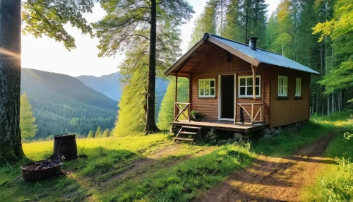 small cabin,the cabin in the mountains,log cabin,summer cottage,cabin,house in the forest,wooden hut,small house,log home,inverted cottage,holiday home,lodging,idyllic,little house,miniature house,chalets,mobile home,beautiful home,wooden house,mountain hut,Photography,General,Realistic