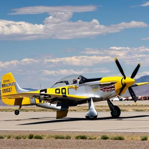 north american p-51 mustang,north american t-6 texan,north american t-28 trojan,north american a-36 apache,reno airshow,grumman american aa-1,republic p-47 thunderbolt,grumman ov-1 mohawk,beechcraft c-12 huron,grumman f8f bearcat,cessna at-17 bobcat,grumman f6f hellcat,curtiss p-40 warhawk,corsair,douglas a-26 invader,fire-fighting aircraft,grumman c-2 greyhound,grumman f9f panther,lockheed p-38 lightning,lockheed t-33,Photography,General,Realistic