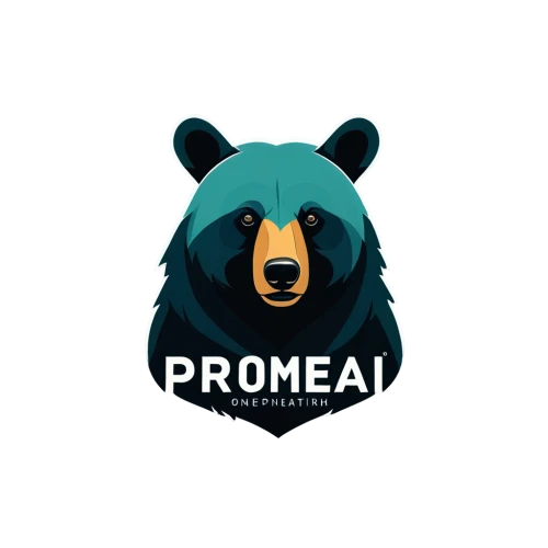 borealis,great bear,logodesign,bears,bear kamchatka,proa,bear,roumbaler,boreal,kodiak bear,digital nomads,nordic bear,pomade,bear market,animal icons,broadleaf,logo header,dribbble icon,social logo,dribbble