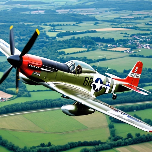 north american p-51 mustang,north american t-6 texan,curtiss p-40 warhawk,republic p-47 thunderbolt,supermarine spitfire,beechcraft model 18,grumman f6f hellcat,north american t-28 trojan,north american a-36 apache,grumman american aa-1,grumman f8f bearcat,corsair,messerschmitt bf 108,hudson wasp,focke-wulf fw 190,messerschmitt bf 109,t28 trojan,propeller-driven aircraft,douglas sbd dauntless,light aircraft,Photography,General,Realistic