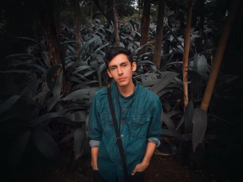 farmer in the woods,jungle,portrait background,floral background,forests,forest background,pineapple field,forest man,kahila garland-lily,tropical floral background,denim background,pineapple farm,leafy,background bokeh,agave,edit icon,pineapple fields,plants,in the forest,moody portrait