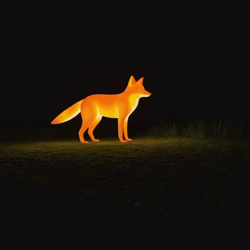 a fox,garden-fox tail,fox hunting,red fox,fox,fox and hare,foxes,redfox,child fox,swift fox,fox stacked animals,kit fox,sand fox,little fox,fox in the rain,vulpes vulpes,hare trail,desert fox,christmas fox,animal silhouettes,Photography,Artistic Photography,Artistic Photography 10