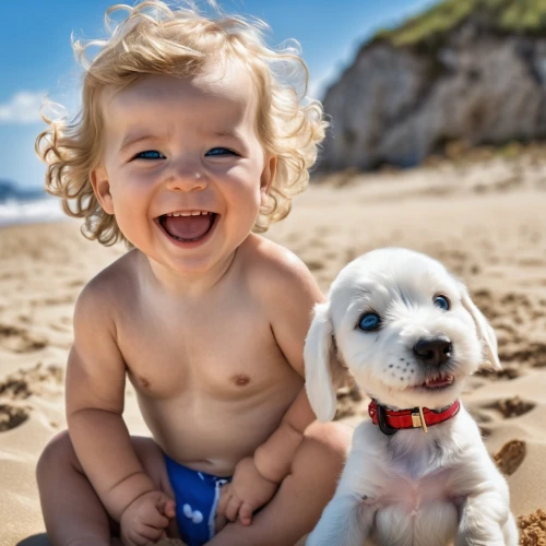 boy and dog,cute puppy,playing in the sand,cheerful dog,pet vitamins & supplements,dog photography,little boy and girl,stray dog on beach,baby laughing,beach dog,playing puppies,havanese,cute baby,dog-photography,puppy love,puppies,dog pure-breed,golden retriever puppy,baby and teddy,kid dog,Photography,General,Realistic