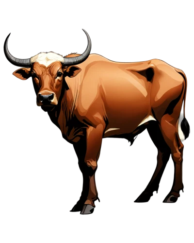 bull,gnu,watusi cow,oxen,cow icon,horns cow,bulls,bos taurus,ox,tribal bull,taurus,bovine,texas longhorn,zebu,aurochs,horoscope taurus,cow,mountain cow,cattle,cape buffalo,Illustration,Vector,Vector 04