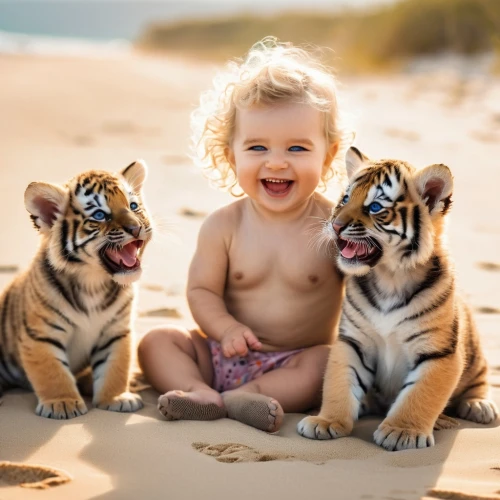 tiger cub,lion children,young tiger,cute baby,cute animals,baby laughing,malayan tiger cub,tigers,baby animal,tropical animals,kissing babies,newborn photography,baby playing with toys,photos of children,wild animals,baby making funny faces,baby care,exotic animals,cheetah and cubs,newborn photo shoot,Photography,General,Natural