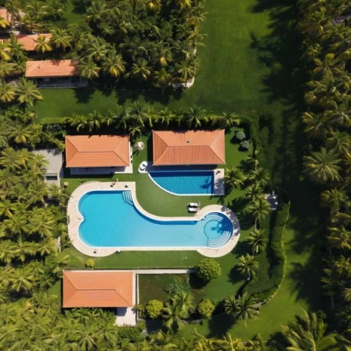 outdoor pool,infinity swimming pool,drone image,swimming pool,private estate,bendemeer estates,bird's-eye view,pool house,drone photo,aerial shot,florida home,drone view,dug-out pool,drone shot,luxury property,overhead shot,view from above,pool cleaning,hacienda,overhead view