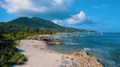 shipwreck beach,natuna indonesia,seychelles,caribbean beach,the caribbean,philippines scenery,jamaica,caribbean sea,caribbean,haiti,samoa,aerial view of beach,barbados,paradise beach,seychelles scr,moorea,roatan,kohphangan,dominican republic,french polynesia