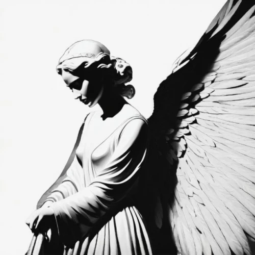 weeping angel,angel wings,angel statue,angel wing,angel figure,vintage angel,guardian angel,the archangel,business angel,angelology,black angel,angel,winged,crying angel,winged victory of samothrace,archangel,angel head,the statue of the angel,angel of death,baroque angel