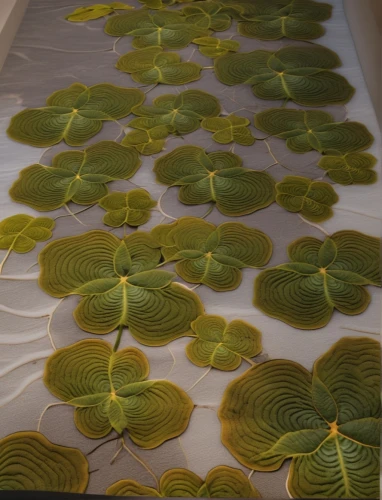water lily plate,embroidered leaves,lotus leaves,sunflower paper,tropical leaf pattern,flower fabric,chloroplasts,luminous garland,kimono fabric,ginkgo leaf,lotus leaf,lily pads,embroider,glass painting,banana leaf,water lily leaf,green folded paper,herbarium,embroidered flowers,floral pattern paper,Photography,General,Realistic