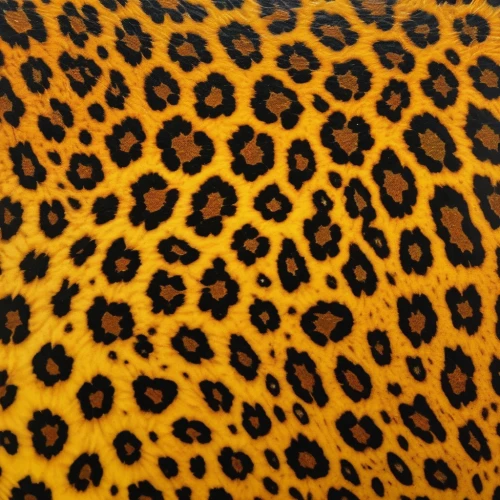 leopard,animal print,cheetah,fruit pattern,jaguar,leopard head,memphis pattern,cheetahs,seamless pattern repeat,thai pattern,spots,african leopard,traditional pattern,seamless pattern,pattern,leopard's bane,lemon pattern,textile,megamendung batik pattern,batik,Photography,General,Realistic