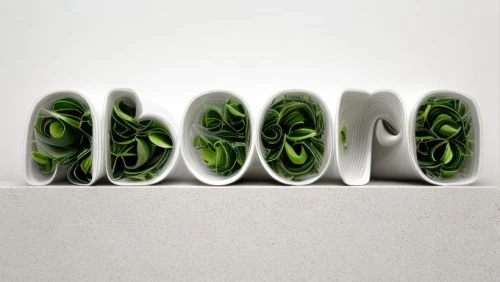 water spinach,garden cress,sushi art,frozen vegetables,food styling,sprout salad,algae,tube plants,sushi roll images,green soybeans,salad plate,green folded paper,watercress,pods,salad garnish,vegetables landscape,tea art,chilli pods,flora abstract scrolls,cucumber sandwich,Realistic,Flower,Lily