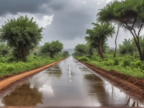national highway,road through village,road surface,dirt road,country road,road,monsoon banner,roads,the road,uneven road,tree lined lane,monsoon,road to nowhere,road forgotten,fork road,road construction,siem reap,uganda,empty road,roadway,Photography,General,Realistic