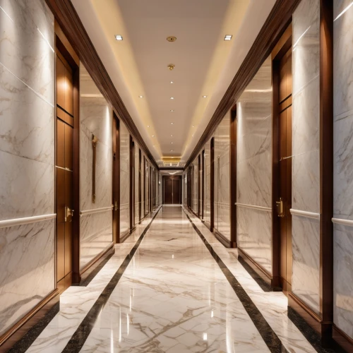 hallway,hallway space,corridor,hotel hall,luxury hotel,concierge,hyatt hotel,elevators,walkway,largest hotel in dubai,search interior solutions,pan pacific hotel,security lighting,recessed,floors,emirates palace hotel,hall of nations,hotels,lobby,hall,Photography,General,Realistic
