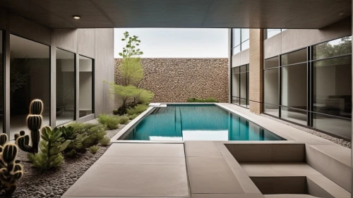 landscape design sydney,garden design sydney,landscape designers sydney,corten steel,outdoor pool,stucco wall,contemporary decor,pool house,exposed concrete,mid century modern,dug-out pool,interior modern design,modern house,dunes house,modern architecture,swimming pool,roof landscape,courtyard,concrete ceiling,mid century house,Photography,General,Realistic