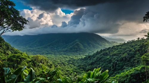 tropical and subtropical coniferous forests,valdivian temperate rain forest,arenal volcano,dominica,tambora,mountainous landscape,aaa,costa rica,reunion island,conguillío national park,dominican republic,samoa,sri lanka,rain forest,srilanka,guyana,kauai,nicaragua,jamaican blue mountain coffee,viñales valley,Photography,General,Natural