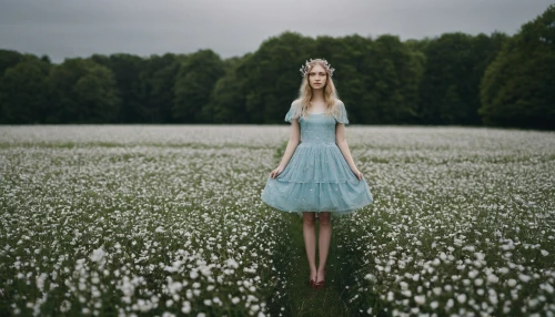 cotton grass,girl in flowers,girl in a long dress,meadow,field of flowers,conceptual photography,mayweed,forget me not,forget-me-not,photoshop manipulation,meadow daisy,photo manipulation,meadow rues,blooming field,wonderland,girl in a long,bluish white clover,image manipulation,photomanipulation,ballerina in the woods,Photography,Documentary Photography,Documentary Photography 04