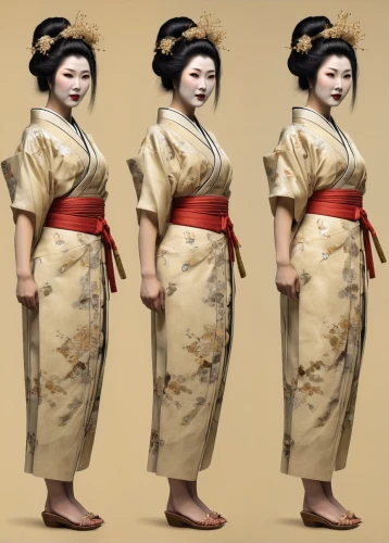 geisha,geisha girl,japanese doll,the japanese doll,japanese woman,motsunabe,kokeshi,mukimono,japanese icons,goki,japan pattern,shakuhachi,female doll,japanese style,japanese,japanese culture,horumonyaki,sumo wrestler,japanese kawaii,hanbok,Photography,General,Realistic