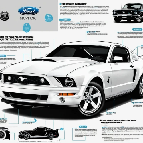 ford mustang fr500,shelby mustang,ford mustang,american muscle cars,first generation ford mustang,second generation ford mustang,mustang,mustang gt,automotive design,muscle car,california special mustang,pony car,vector infographic,boss 302 mustang,muscle car cartoon,automotive,automotive lighting,ford car,american sportscar,vehicle service manual,Unique,Design,Infographics