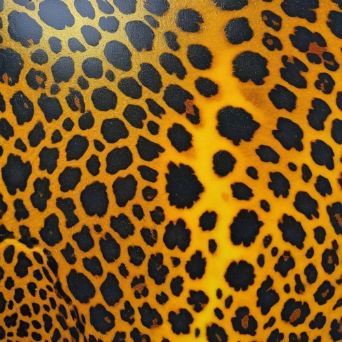 leopard,cheetah,animal print,spots,leopard head,leopard's bane,jaguar,cheetahs,african leopard,fruit pattern,spots eyes,seamless texture,lemon pattern,polka dot pattern,yellow orange,tiger python,patterned,bokeh pattern,dot pattern,coral-spot,Photography,General,Realistic