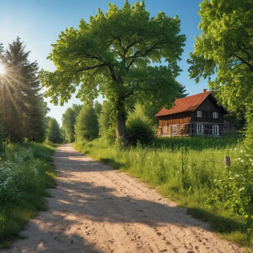 home landscape,rural landscape,farmstead,summer cottage,country road,dirt road,country cottage,rural,countryside,danish house,farm house,uckermark,red barn,spring morning,country house,wooden houses,farm landscape,dutch landscape,country side,farmhouse,Photography,General,Realistic