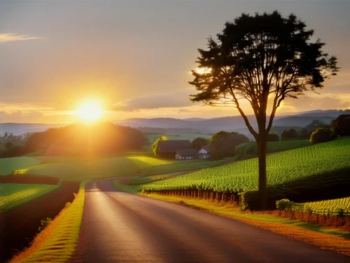 landscape background,country road,sunrays,beautiful landscape,sunray,landscapes beautiful,rural landscape,sun rays,sunburst background,background view nature,sunbeams,rays of the sun,bright sun,aaa,nature landscape,landscape nature,sun ray,atmosphere sunrise sunrise,green landscape,god rays